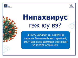 Нипах вирус гэж юу вэ